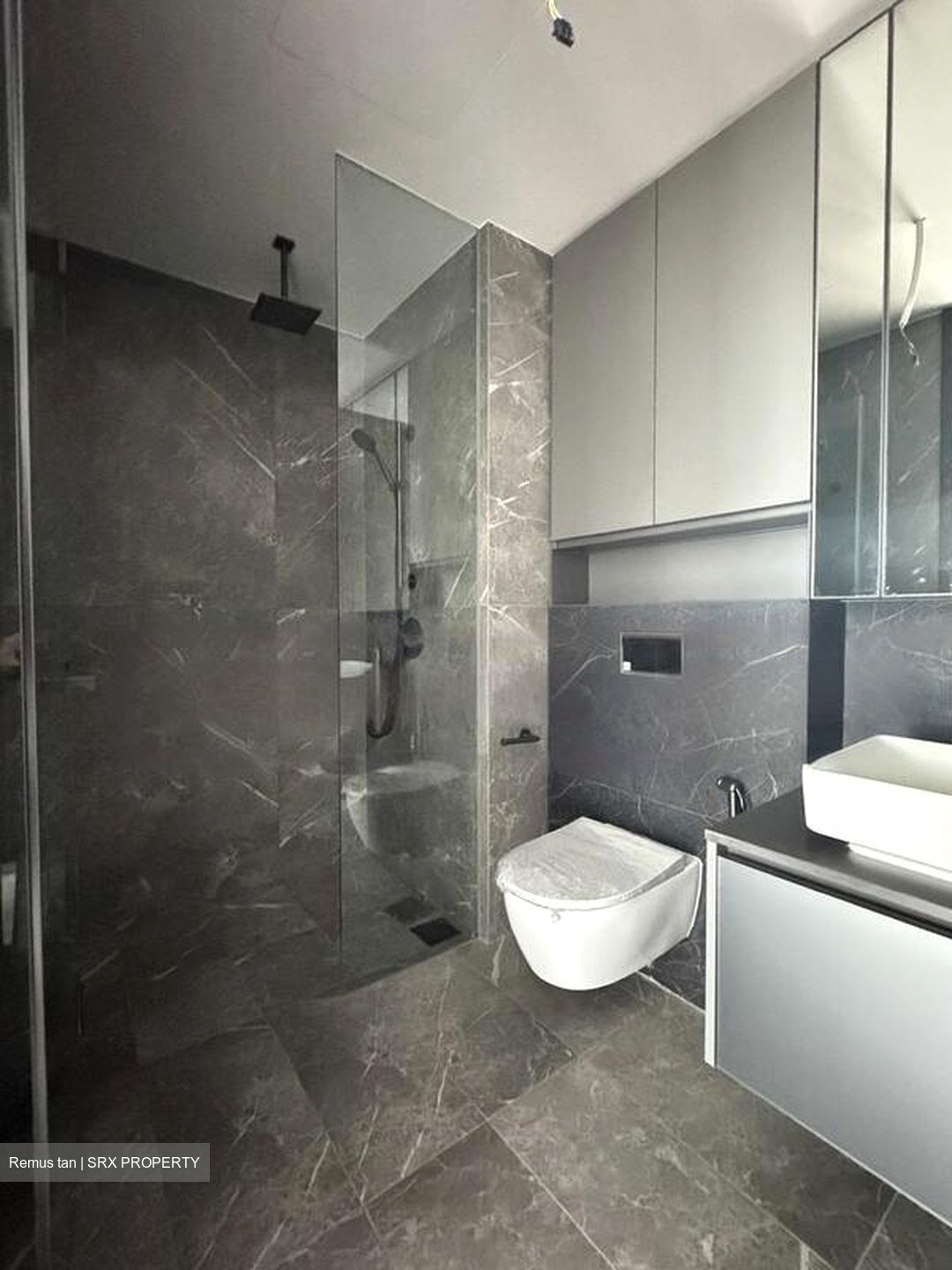 Irwell Hill Residences (D9), Apartment #470392681